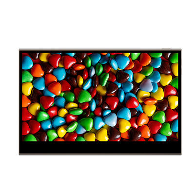 15.6 inch draagbare aanraakscherm met batterijvoorziening voor bedrijfs- en systeemintegratie